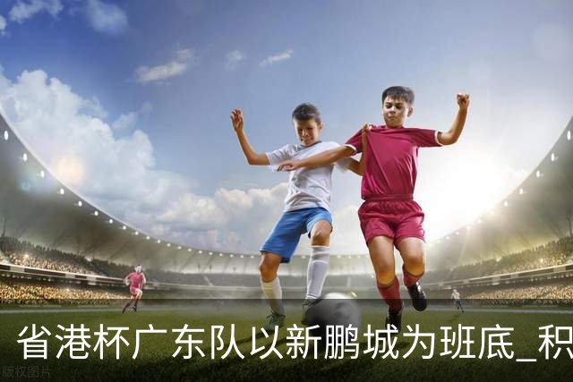 省港杯广东队以新鹏城为班底 积极协调拜合拉木参赛